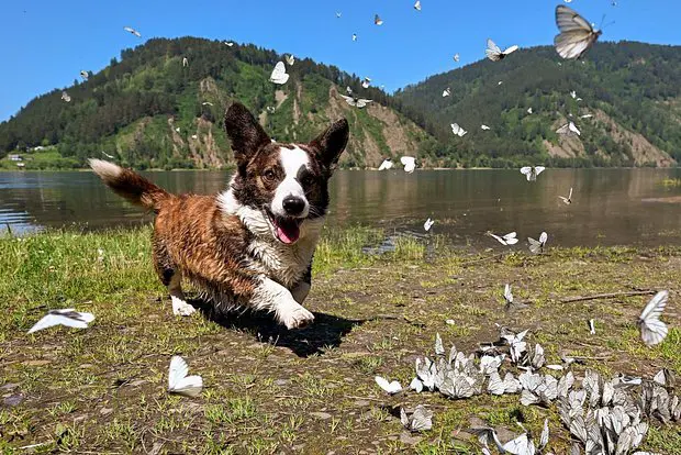 Вводная картинка