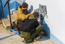 Владивосток украшен мозаикой лесного кота и природных символов vladivostok ukrashen mozaikoj lesnogo kota i prirodnyh simvolov-onlymainnews-ru-0