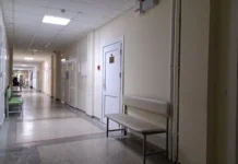 Во Владивостоке врачи КДКБ №1 помогли ребёнку, извлекшему пластикового дельфина vo vladivostoke vrachi kdkb 1 pomogli rebyonku izvlekshemu plastikovogo delfina-onlymainnews-ru-0