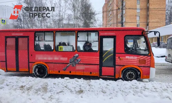 Водитель автобуса-мигрант в Хабаровске стал участником двух ДТП с поездом и пешеходом-0