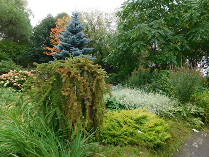 Алексей Вихарев: забота о природе в действии