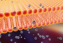 devid suter i federalnaya politehnicheskaya shkola lozanny o balanse belkov-onlymainnews-ru-0