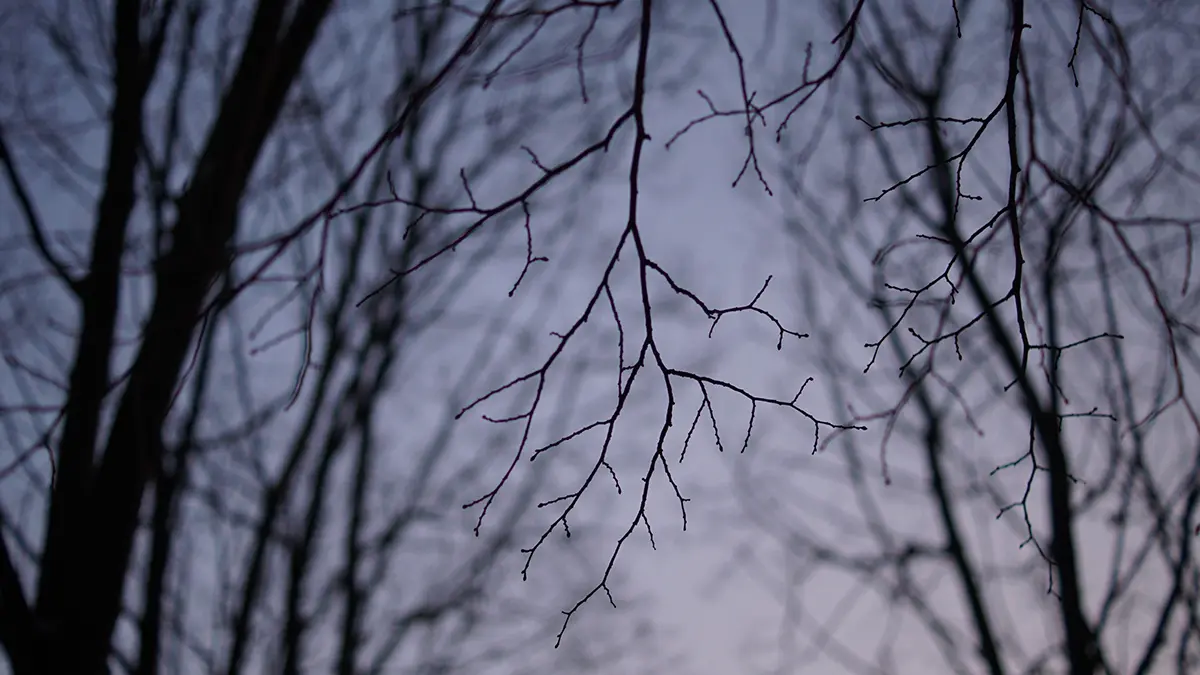 Исследователь группы Дятлова Буянов назвал ошибку пропавших Усольцевых