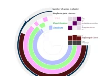 ФИЦ Биотехнологии РАН и Acidiplasma открывают новые пути к благородным металлам ficz biotehnologii ran i otkryvayut novye puti k blagorodnym metallam-onlymainnews-ru-0