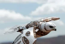 Исследователи МФТИ создали орнитоптер с нейросистемой по образу природы issledovateli mfti sozdali ornitopter s nejrosistemoj po obrazu prirody-onlymainnews-ru-0