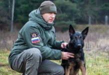 Кинологи из Зеленоградского центра готовят собак для спецоперации на Донбассе kinologi iz zelenogradskogo czentra gotovyat sobak dlya speczoperaczii na donbasse-onlymainnews-ru-0
