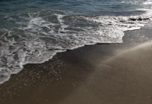 Михаил Развожаев сообщает о незначительном землетрясении в Севастополе и Черном море mihail razvozhaev soobshhaet o neznachitelnom zemletryasenii v sevastopole i chernom more-onlymainnews-ru-0