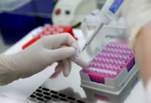 Михаил Захаров и Владимир Виноградов получили условные сроки за хищение средств mihail zaharov i vladimir vinogradov poluchili uslovnye sroki za hishhenie sredstv-onlymainnews-ru-0