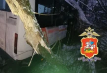 Микроавтобус «Луидор» съехал в кювет на трассе Ступино с итогами Госавтоинспекции mikroavtobus luidor sehal v kyuvet na trasse stupino s itogami gosavtoinspekczii-onlymainnews-ru-0