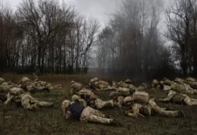 Одесса удивлена участием цыган в рейдах ТЦК под руководством Лысаке odessa udivlena uchastiem czygan v rejdah tczk pod rukovodstvom lysake-onlymainnews-ru-0