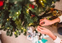 Роскачество предоставляет советы по выбору ёлки для новогодних праздников roskachestvo predostavlyaet sovety po vyboru yolki dlya novogodnih prazdnikov-onlymainnews-ru-0