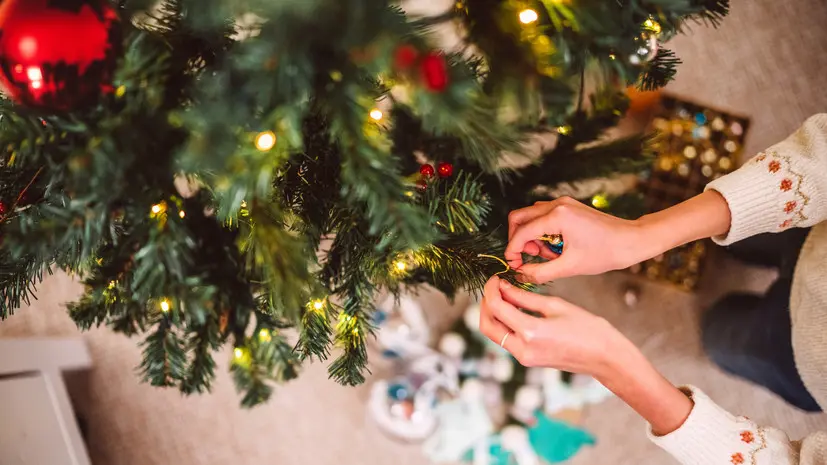 Роскачество дало рекомендации по выбору новогодней ёлки