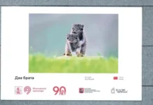 Сергей Собянин и Дептранс Москвы продемонстрировали красоту природы в метро sergej sobyanin i deptrans moskvy prodemonstrirovali krasotu prirody v metro-onlymainnews-ru-0