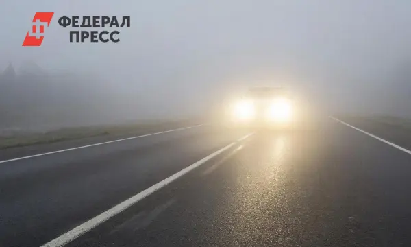 Спасатели Санкт-Петербурга предупреждают о туманной погоде и призывают к зимним прогулкам-0