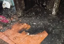 В Балаганском районе и Новой Москве вынесли суровые приговоры v balaganskom rajone i novoj moskve vynesli surovye prigovory-onlymainnews-ru-0