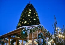 В Екатеринбурге представили новогодний маршрут по красивым локациям v ekaterinburge predstavili novogodnij marshrut po krasivym lokacziyam-onlymainnews-ru-0