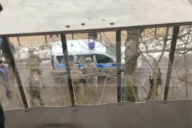 Вводная картинка