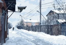 В Ямало-Ненецком автономном округе увеличилась раскрываемость преступлений благодаря цифровым технологиям v yamaloneneczkom avtonomnom okruge uvelichilas raskryvaemost prestuplenij blagodarya czifrovym tehnologiyam-onlymainnews-ru-0