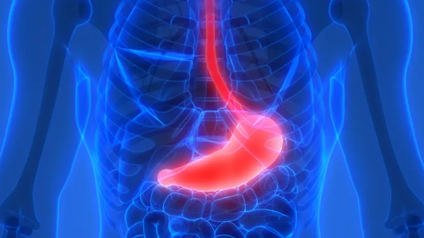 Врач Серёжина: гастрит может влиять на работу внутренних органов и нервной системы