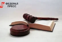 Видновский суд и Мособлсуд приостановили деятельность ООО «Патронаж» vidnovskij sud i mosoblsud priostanovili deyatelnost ooo patronazh-onlymainnews-ru-0