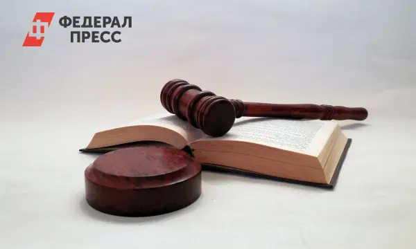 Видновский суд и Мособлсуд приостановили деятельность ООО «Патронаж»-0