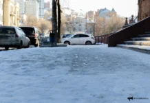 Владивосток активизировал борьбу с гололёдом по призыву Константина Шестакова vladivostok aktiviziroval borbu s gololyodom po prizyvu konstantina shestakova-onlymainnews-ru-0