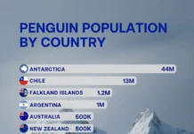 Численность и ареал пингвинов Антарктиды и их африканских собратьев chislennost i areal pingvinov antarktidy i ih afrikanskih sobratev-onlymainnews-ru-0