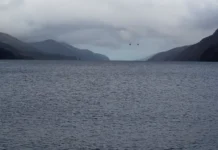 Эдриан Шайн рассказал о результатах 52-летних поисков загадки Лох-Несса edrian shajn rasskazal o rezultatah 52letnih poiskov zagadki lohnessa-onlymainnews-ru-0