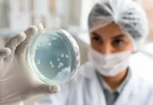 Фермент McbBCD создает микроцины для борьбы с супербактериями ferment sozdaet mikrocziny dlya borby s superbakteriyami-onlymainnews-ru-0