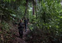 gordon dyuar i ego zahvatyvayushhee priklyuchenie v tailande-onlymainnews-ru-0