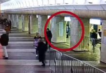 ГУ МВД задержало женщину за проезд между вагонами метро Москвы gu mvd zaderzhalo zhenshhinu za proezd mezhdu vagonami metro moskvy-onlymainnews-ru-0