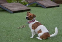 Как Надежда Чернышова советует защищаться от гельминтов и грибка kak nadezhda chernyshova sovetuet zashhishhatsya ot gelmintov i gribka-onlymainnews-ru-0