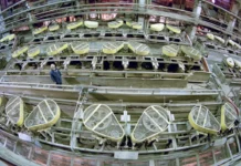 Кингисеппские электрические сети развивают Ленинградскую область, обеспечивая безопасную доставку оборудования для «Фосфорит» kingiseppskie elektricheskie seti razvivayut leningradskuyu oblast obespechivaya bezopasnuyu dostavku oborudovaniya dlya fosforit-onlymainnews-ru-0