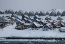 Мэттью Уитакер призвал Европу к сдержанности по Гренландии и НАТО mettyu uitaker prizval evropu k sderzhannosti po grenlandii i nato-onlymainnews-ru-0