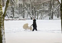 Москвичам синоптики дали точный прогноз погоды для столицы и области moskvicham sinoptiki dali tochnyj prognoz pogody dlya stoliczy i oblasti-onlymainnews-ru-0