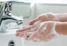 Онищенко и Роспотребнадзор: меры профилактики вируса Нипах за рубежом onishhenko i rospotrebnadzor mery profilaktiki virusa nipah za rubezhom-onlymainnews-ru-0