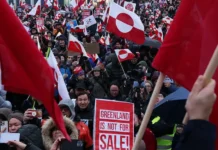 Песков: Россия за Данию по Гренландии, США и ЕС ищут компромиссы peskov rossiya za daniyu po grenlandii ssha i es ishhut kompromissy-onlymainnews-ru-0