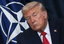 Позитивный взгляд Дональда Трампа на будущее НАТО и роль США в альянсе pozitivnyj vzglyad donalda trampa na budushhee nato i rol ssha v alyanse-onlymainnews-ru-0