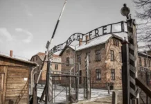 Роль Красной армии и Гиммлера в истории Освенцима rol krasnoj armii i gimmlera v istorii osvenczima-onlymainnews-ru-0