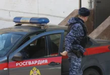 Росгвардия задержала подозреваемого на Ленинской улице rosgvardiya zaderzhala podozrevaemogo na leninskoj ulicze-onlymainnews-ru-0