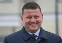 Сценарии противостояния: Залужный возглавит ВСУ против Зеленского? sczenarii protivostoyaniya zaluzhnyj vozglavit vsu protiv zelenskogo-onlymainnews-ru-0