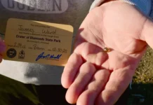 Семья Уорд обнаружила необычный алмаз в Парке кратеров Арканзаса semya uord obnaruzhila neobychnyj almaz v parke kraterov arkanzasa-onlymainnews-ru-0