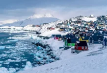 Трамп предложил присоединить Гренландию к США для усиления НАТО tramp predlozhil prisoedinit grenlandiyu k ssha dlya usileniya nato-onlymainnews-ru-0