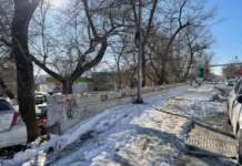 Уборка снега на Светланской во Владивостоке удивила туристов из КНР uborka snega na svetlanskoj vo vladivostoke udivila turistov iz knr-onlymainnews-ru-0