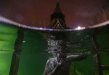 Вахтанг Кипшидзе и Павел Островский из РПЦ о смысле Крещения и веры vahtang kipshidze i pavel ostrovskij iz rpcz o smysle kreshheniya i very-onlymainnews-ru-0