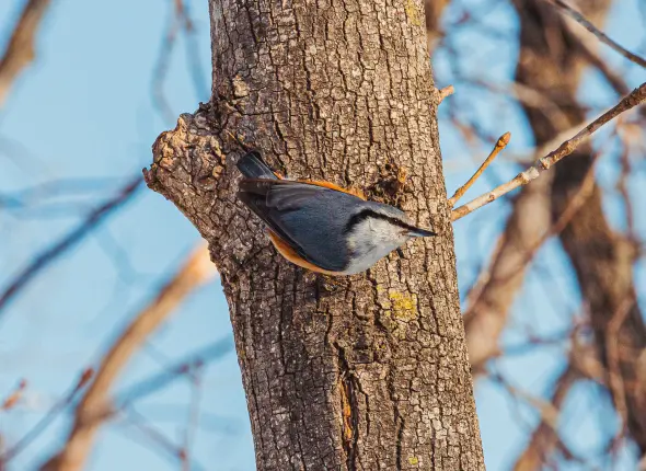 Фото: primamedia.ru