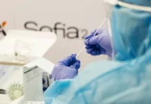 Белка в Подмосковье и природа оспы обезьян – радостная находка belka v podmoskove i priroda ospy obezyan radostnaya nahodka-onlymainnews-ru-0