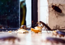 Дмитрий Бондарь призывает оптимизировать ЖКХ и Роспотребнадзор dmitrij bondar prizyvaet optimizirovat zhkh i rospotrebnadzor-onlymainnews-ru-0