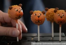 Феерия 1 февраля: Международный день десерта и День лифтовика feeriya 1 fevralya mezhdunarodnyj den deserta i den liftovika-onlymainnews-ru-0