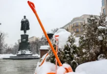 Илья Рыбальченко о мягкой зимней оттепели в Москве ilya rybalchenko o myagkoj zimnej ottepeli v moskve-onlymainnews-ru-0